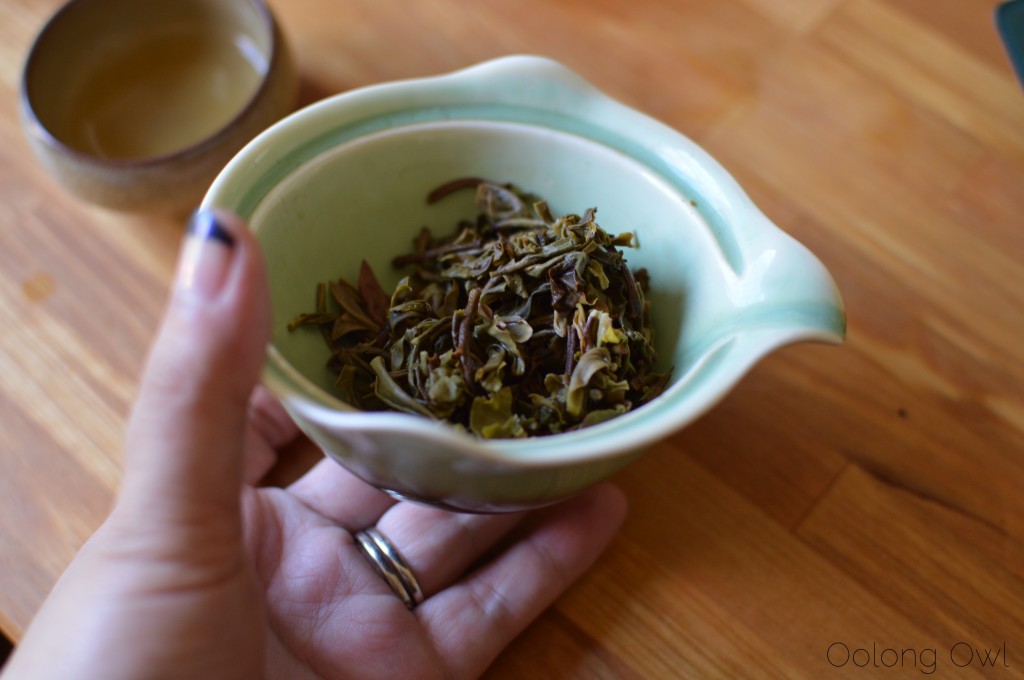 2014 new amerykah 2 pu'er - oolong owl tea review (3)