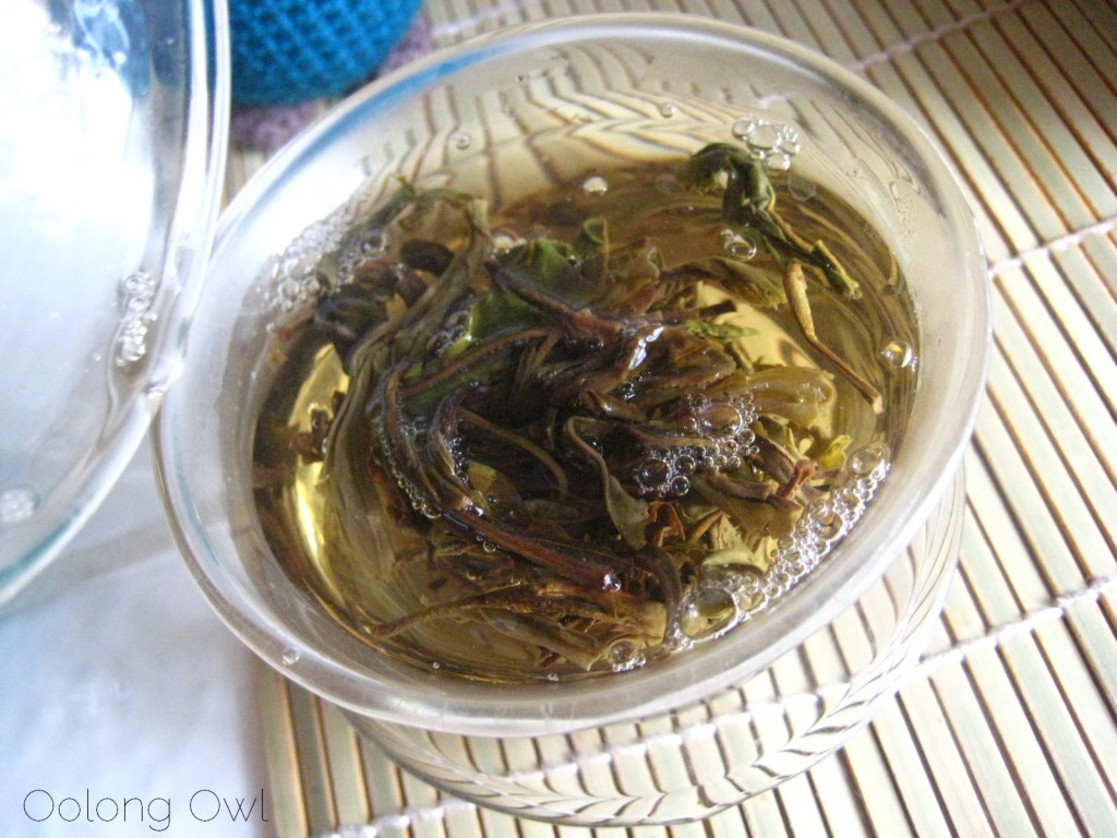 Autumn 2012 Sheng Pu er from Misty Peak Teas - Oolong Owl Tea Review (11)