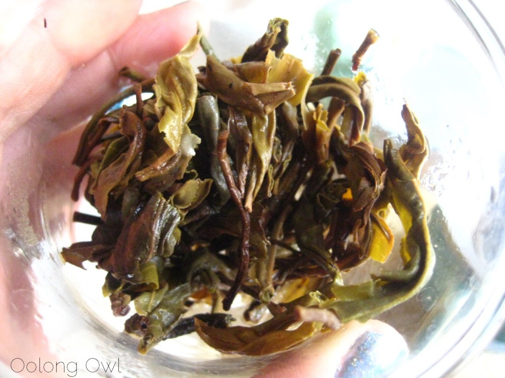 Autumn 2012 Sheng Pu er from Misty Peak Teas - Oolong Owl Tea Review (12)