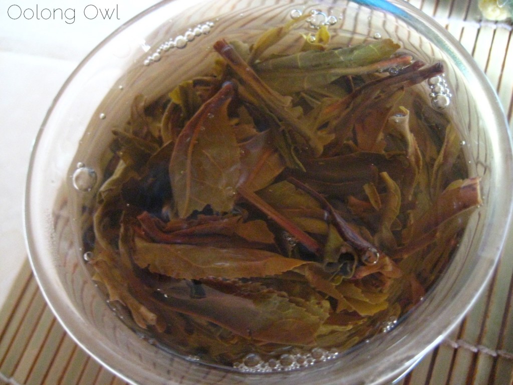 Autumn 2012 Sheng Pu er from Misty Peak Teas - Oolong Owl Tea Review (15)