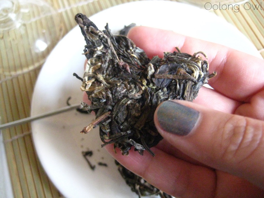 Autumn 2012 Sheng Pu er from Misty Peak Teas - Oolong Owl Tea Review (3)