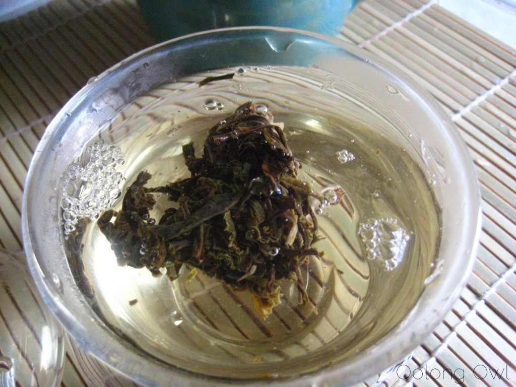 Autumn 2012 Sheng Pu er from Misty Peak Teas - Oolong Owl Tea Review (7)