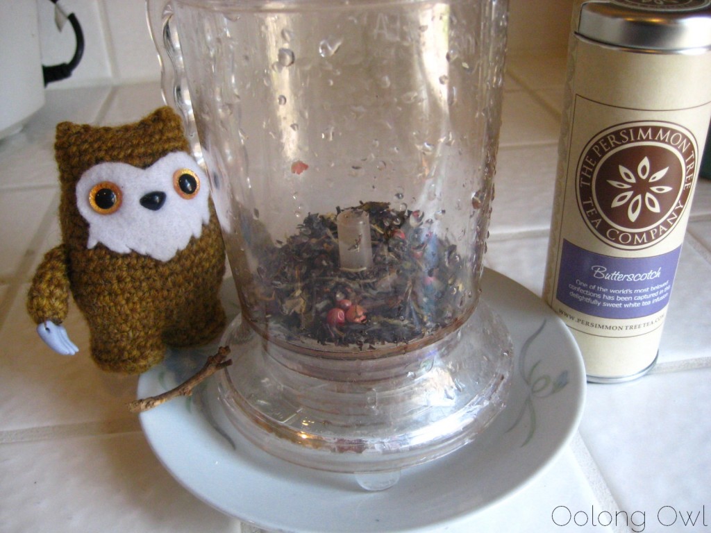 Butterscotch from The Persimmon Tree - Oolong Owl Tea Review (6)