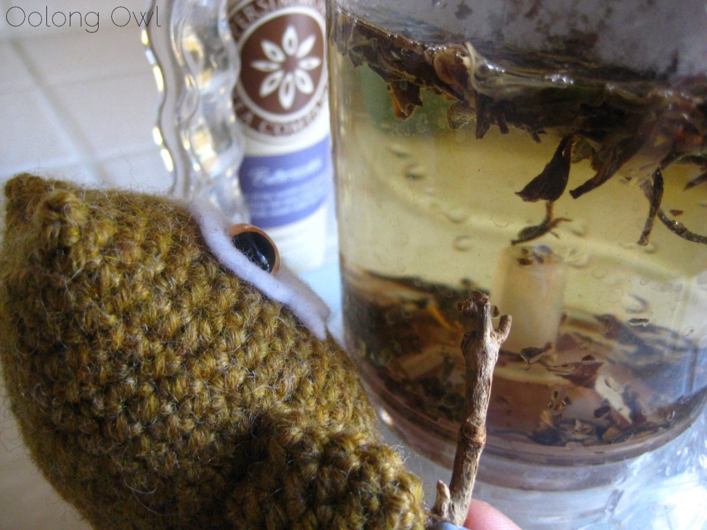 Butterscotch from The Persimmon Tree - Oolong Owl Tea Review (7)
