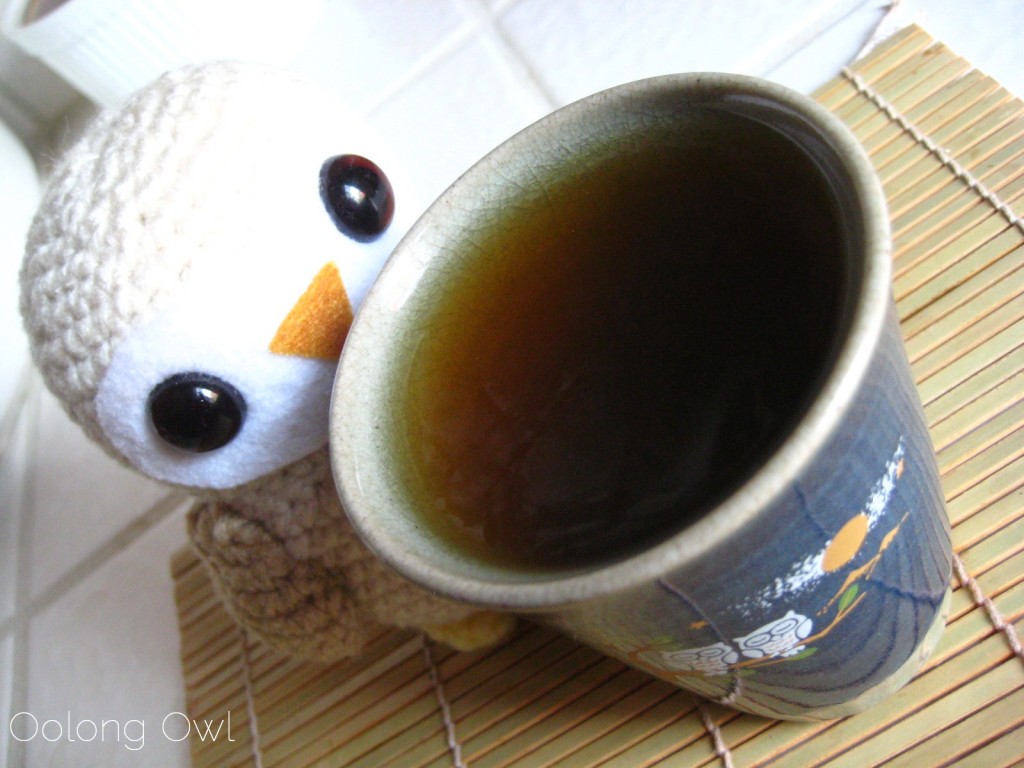 Houjicha from Yunomi Obubu Tea - Oolong Owl Tea Review (13)