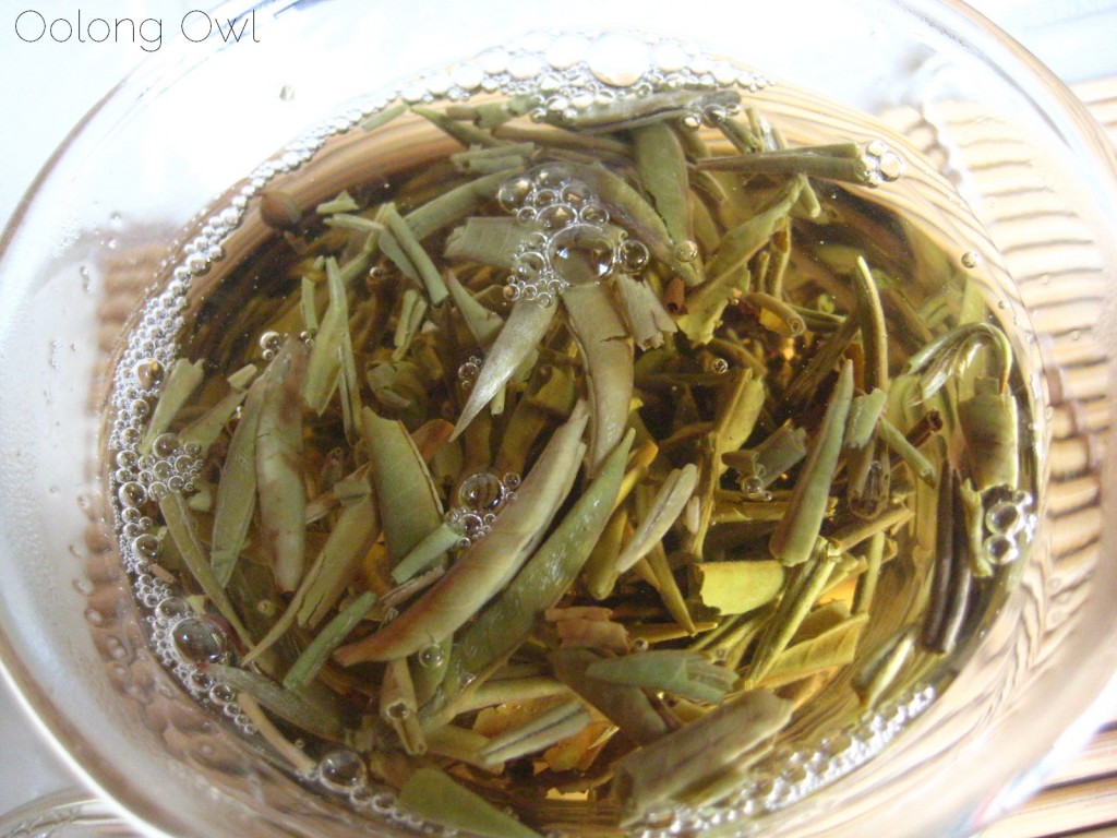Mandala Tea Silver Buds Raw Puer 2012 - Oolong Owl Tea Review (18)