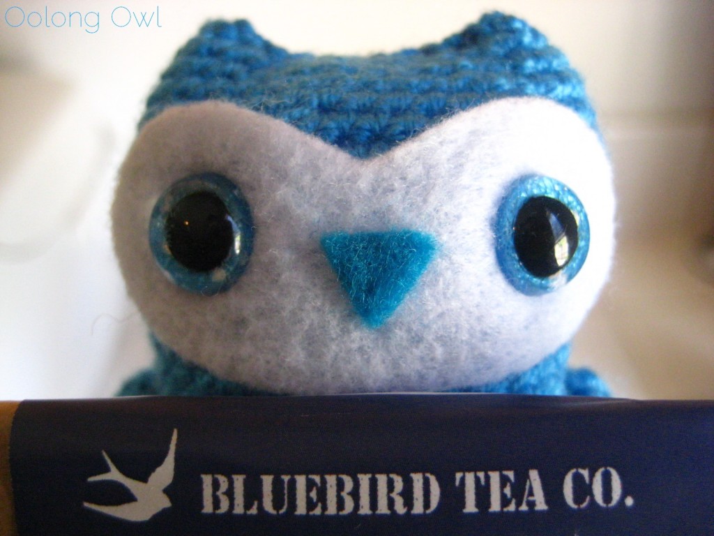 Rhubarb Custard from Bluebird Tea Co - Oolong Owl Tea Review (8)