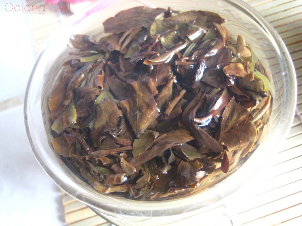 Taiwan Oriental Beauty Bai Hao from Teavivre - Oolong Owl Tea Review (15)