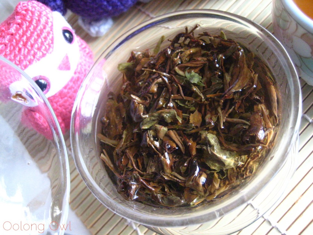 Taiwan Oriental Beauty Bai Hao from Teavivre - Oolong Owl Tea Review (8)