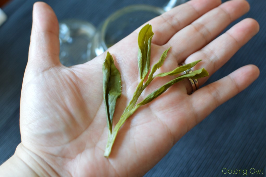 tai ping hou kui green tea from teavivre - oolong owl tea review (16)