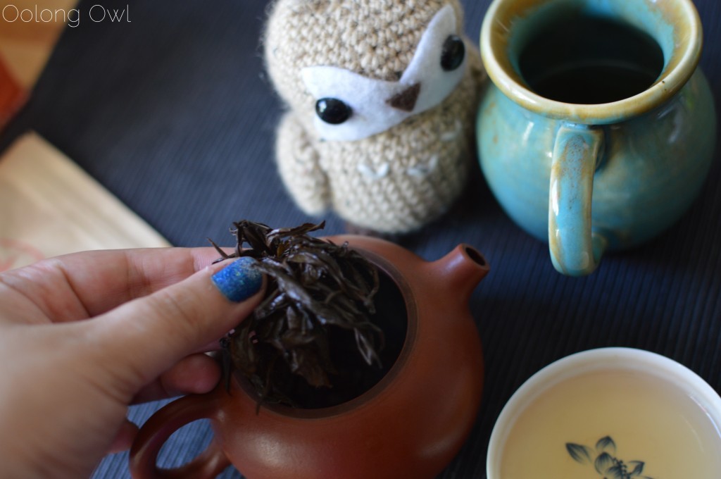laoshan oolong from verdant tea - oolong owl tea review (8)