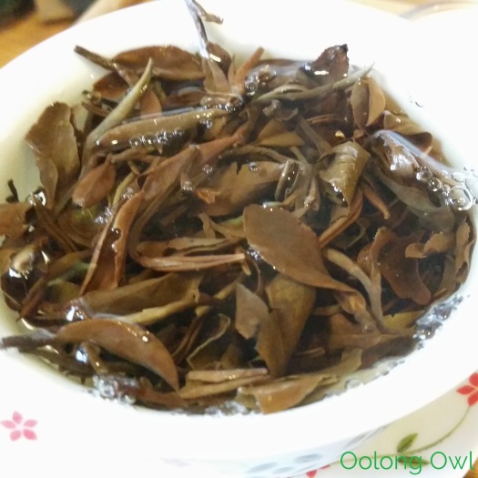 Asian Beauty Oolong from Beautiful Taiwan Tea Company - Oolong Owl Tea Review (8)