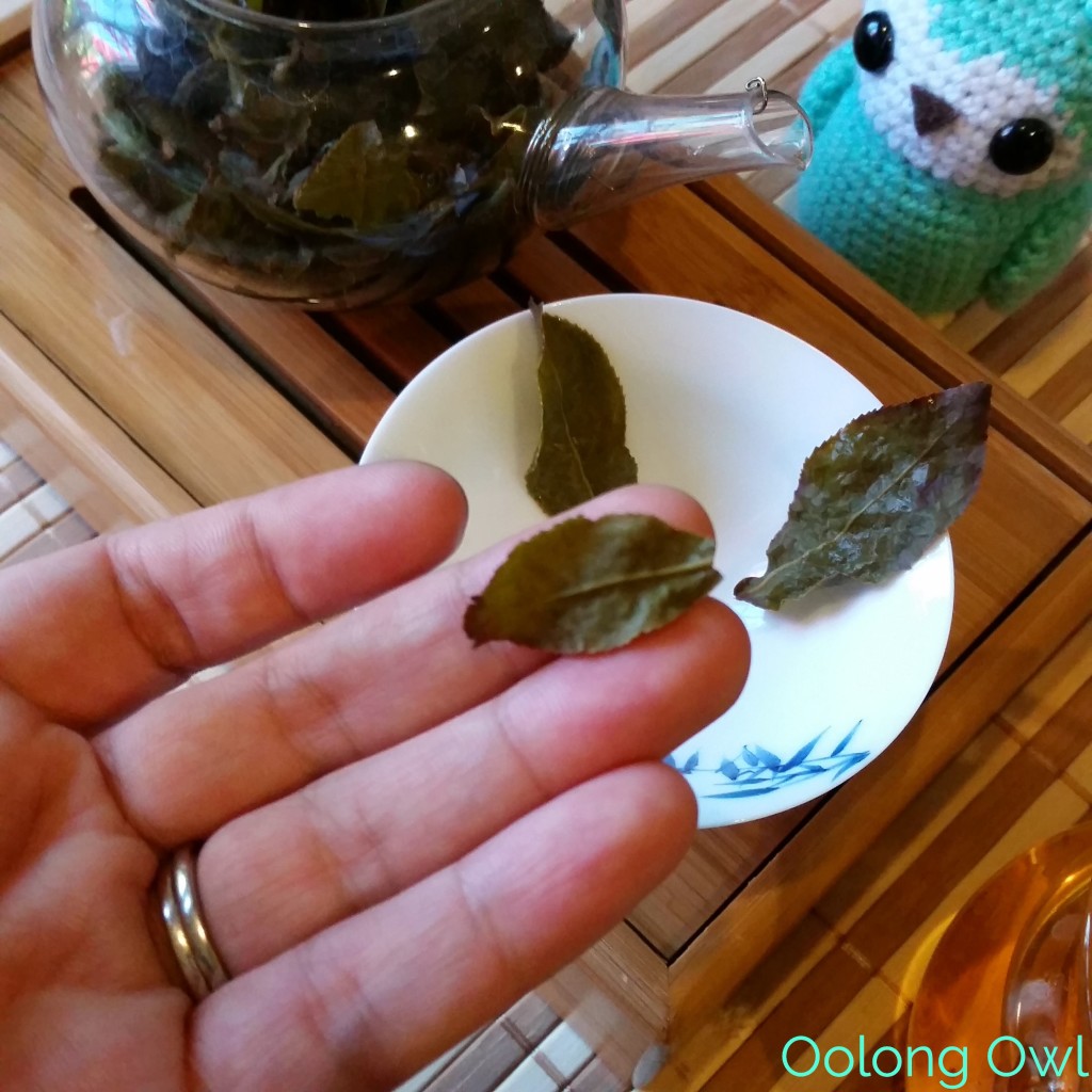 Dong Ding Jade Oolong from Palais Des thes - oolong owl tea review (10)