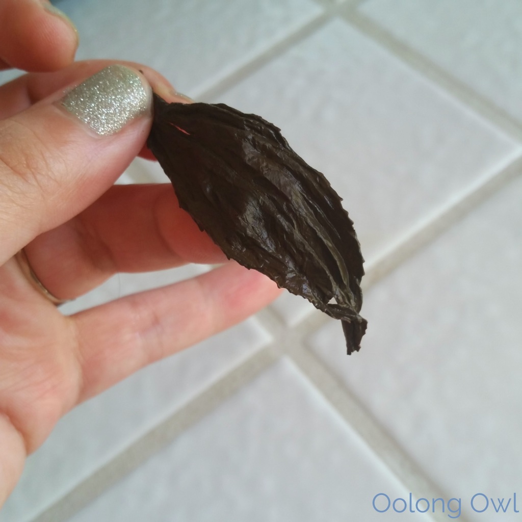Gaba black tea - mandala tea - oolong owl tea review (6)