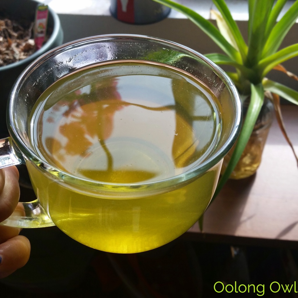 chestnut green tea from lupicia - Oolong Owl Tea Review (5)