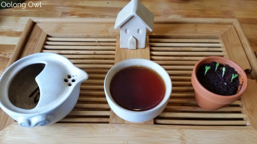January White2Tea monthly tea subscription club - oolong owl tea review (3)
