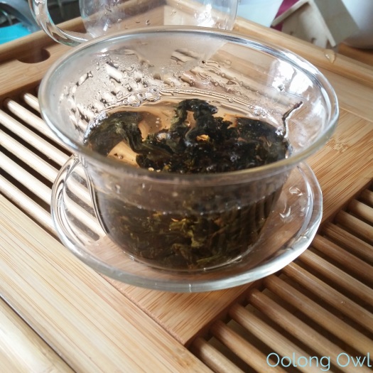 Tea Ave Oolong Preview - Oolong Owl Tea Review (13)