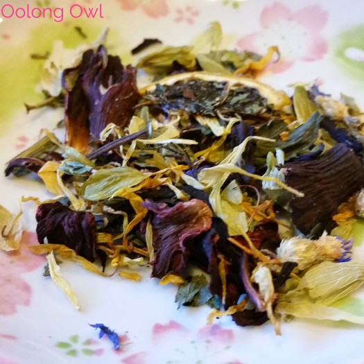 Teatoxy Detox tea - oolong owl tea review (9)