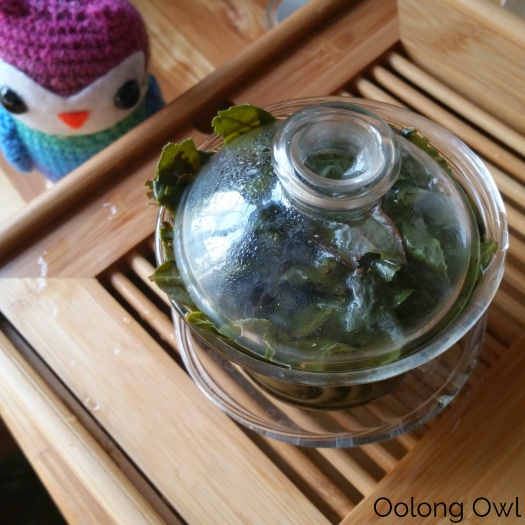 anxi qing xian tieguanyin oolong Teavivre - Oolong Owl Tea review (9)