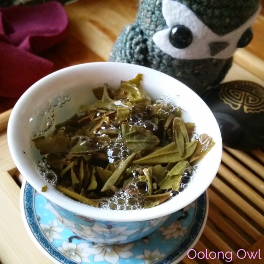 he kai unfermented puerh from Jalam Teas - Oolong Owl Tea Review (7)