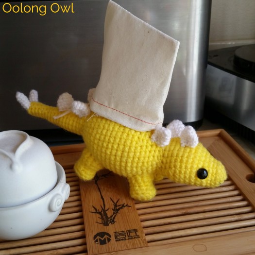 Feb 2015 Simple Loose Leaf Tea Coop Club - Oolong Owl Tea Review (2)