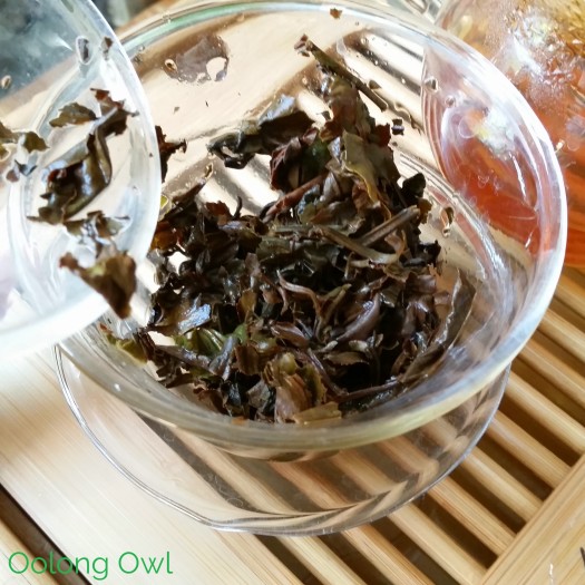 eastern beauty oolong from green terrace teas - oolong owl tea review (5)