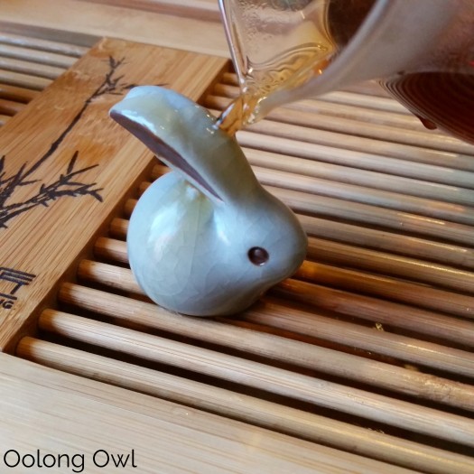 rabbit tea pet - oolong owl tea blog (5)