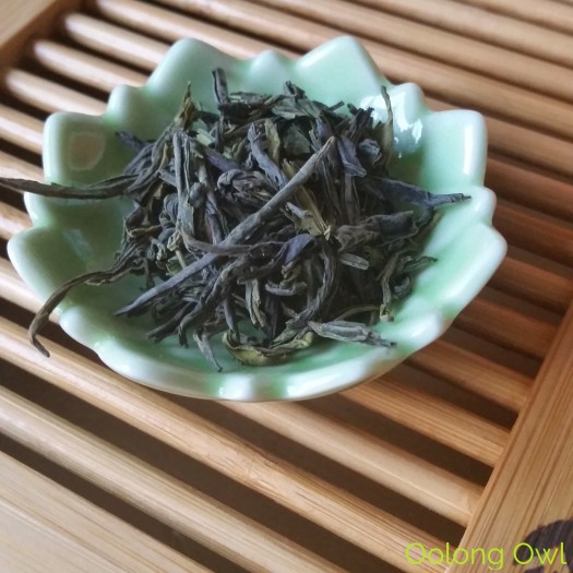 Curious Tea monthly tea subscription review - oolong owl (4)