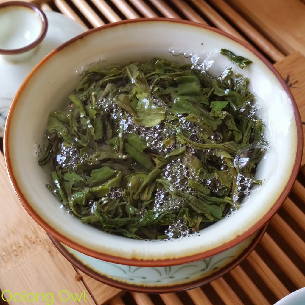 Unknowingly Tea Curious Tea - Monthly Tea Box Subscription Review - Oolong Owl