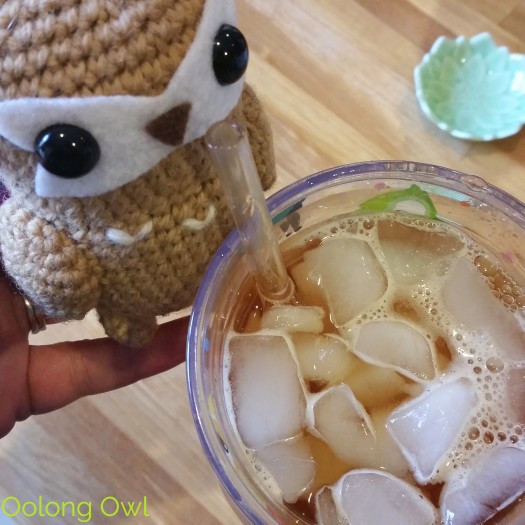 April 2015 Simple Loose Leaf - Oolong Owl tea review (6)
