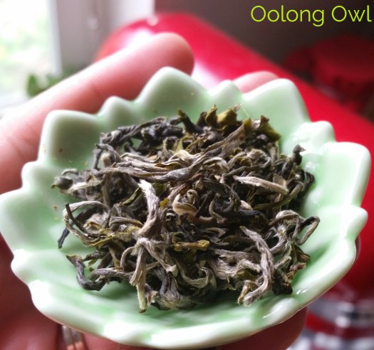 April 2015 Simple Loose Leaf - Oolong Owl tea review (7)