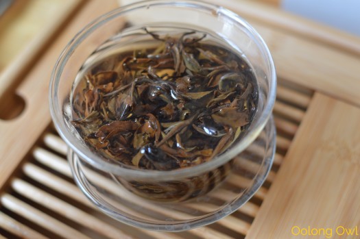 Tea Ave Oriental Beauty - Oolong Owl Tea Review (4)