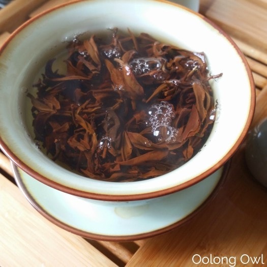 TETE Nepal Teas - Oolong Owl Tea Review (11)