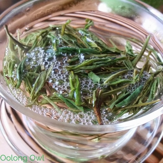 nine lotus green tea from Mandala Tea - Oolong Owl Tea Review (5)