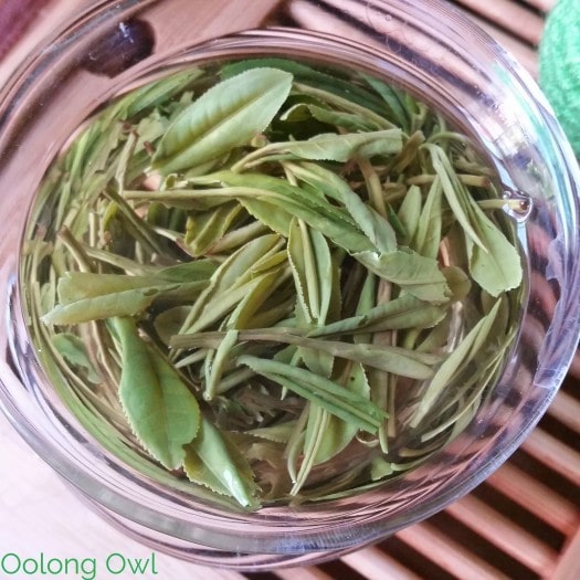 nine lotus green tea from Mandala Tea - Oolong Owl Tea Review (9)