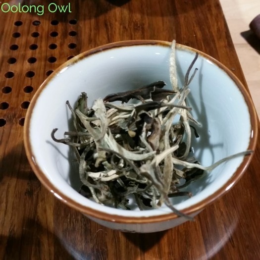 world tea expo day 3 2015 - Oolong Owl (1)