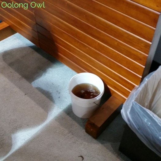 world tea expo day 3 2015 - Oolong Owl (3)