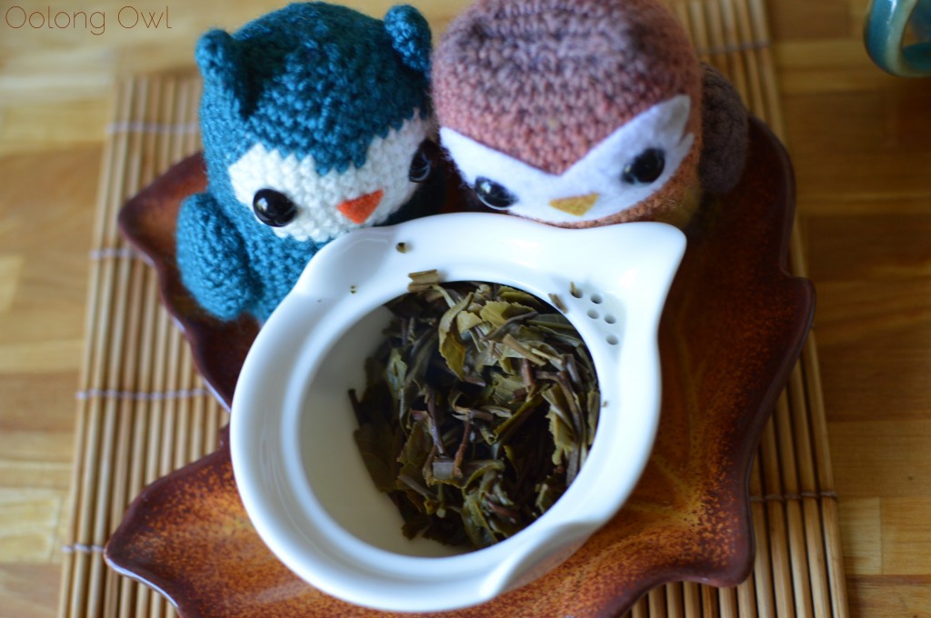 2014 autumn song puer from mandala tea - oolong owl tea review (8)
