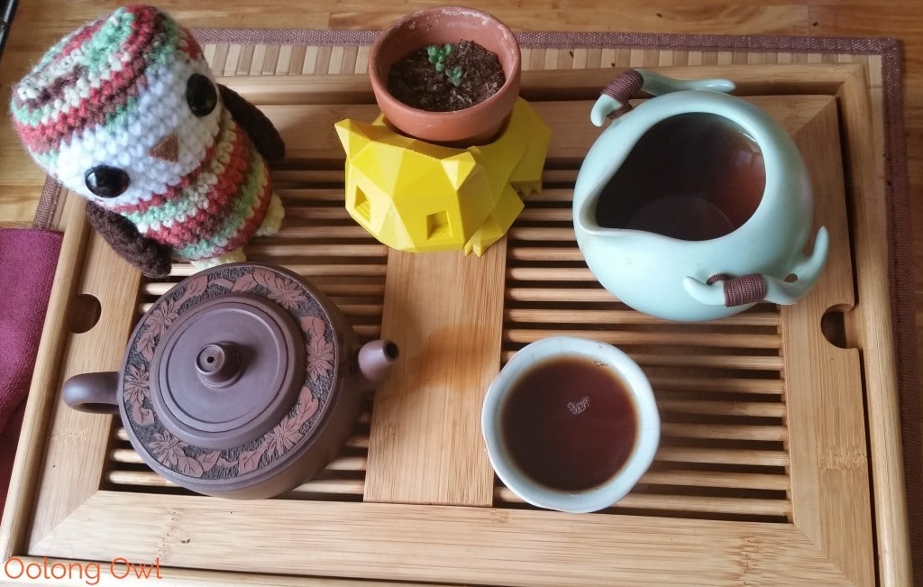 2015 Menghai v93 Ripe Pu'er - Oolong Owl Tea Review (5)