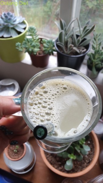 Kikkoman Pearl Green Tea Soy Milk (4)