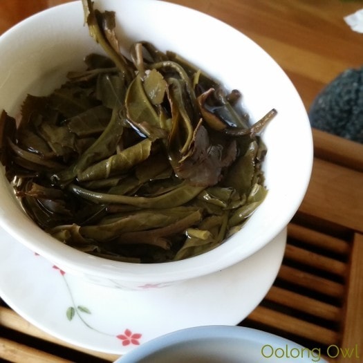 Crimson Lotus 2014 2015 Jingmai Sheng Pu'er Comparison - Oolong Owl Tea Review (17)