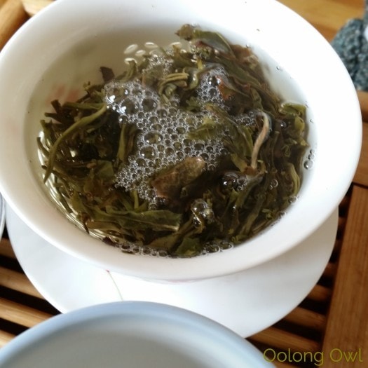 Crimson Lotus 2014 2015 Jingmai Sheng Pu'er Comparison - Oolong Owl Tea Review (7)