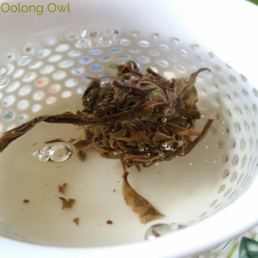 Crimson Lotus 2014 2015 Jingmai Sheng Pu'er Comparison - Oolong Owl Tea Review (8)