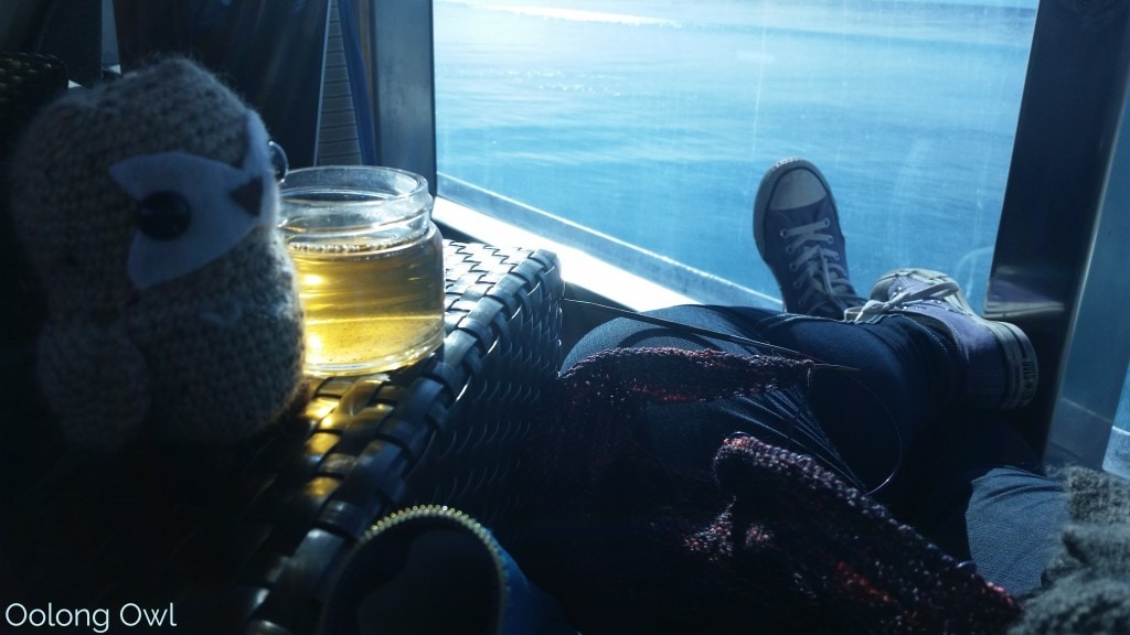 Hooty Tea Travels - Alaska Cruise Sept 2015 - Oolong Owl (11)