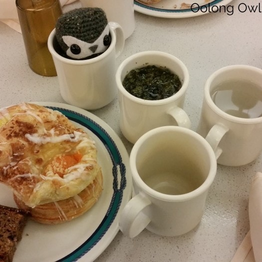 Hooty tea travels - alaska 2 - Oolong Owl (1)
