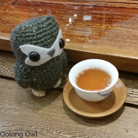 Vancouver August 2015 - Hooty Travels - Oolong Owl (10)