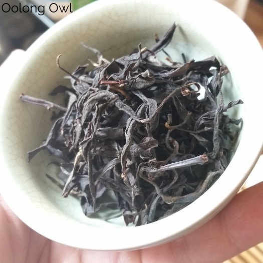 Tie Guan Yin black tea - sanne tea - oolong owl tea review (3)