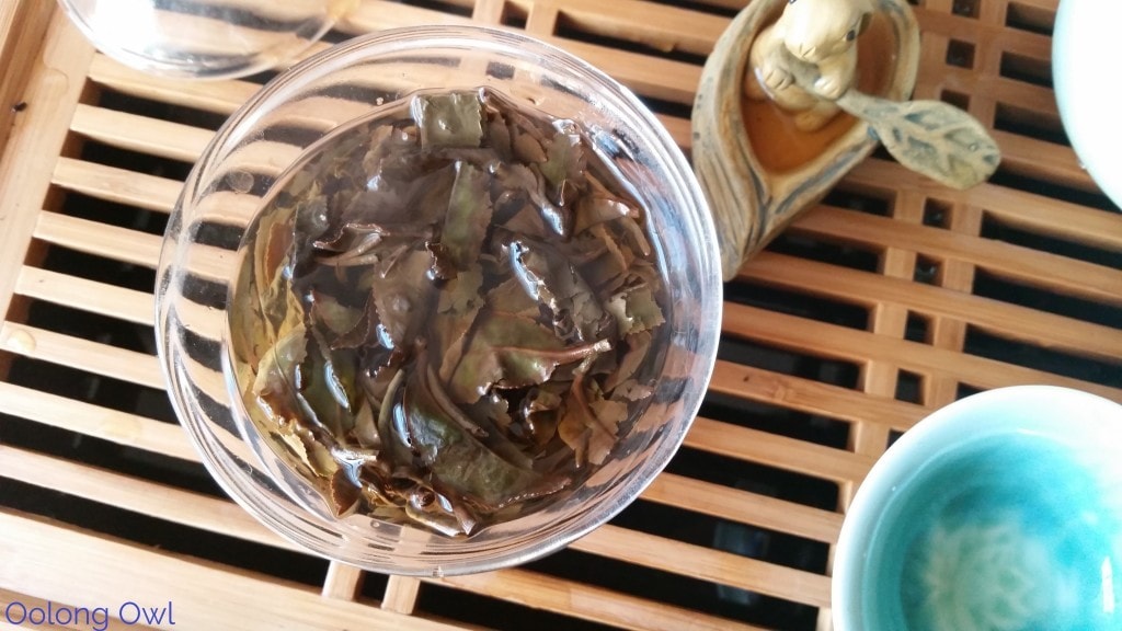 Gui fei oolong - Tea from Vietnam - Oolong Owl Tea Review (7)