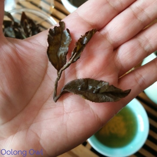 Gui fei oolong - Tea from Vietnam - Oolong Owl Tea Review (8)