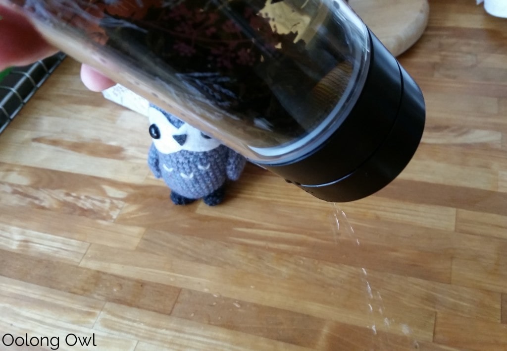 Libre Tea Infuser - Oolong Owl Teaware review (13)